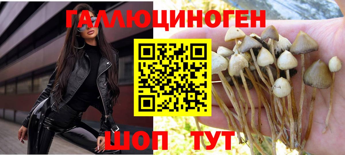 Псилоцибиновые грибы MAGIC MUSHROOMS Октябрьский